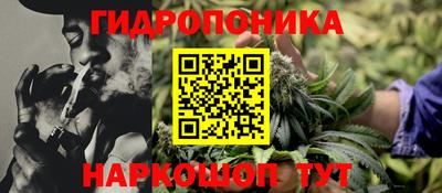 ECSTASY Гай